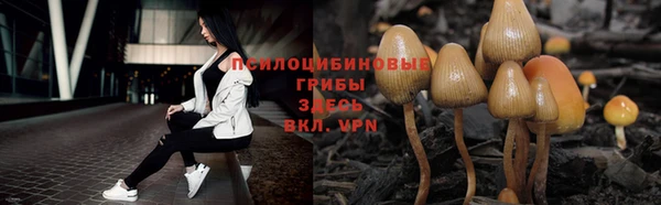ALPHA-PVP Майский