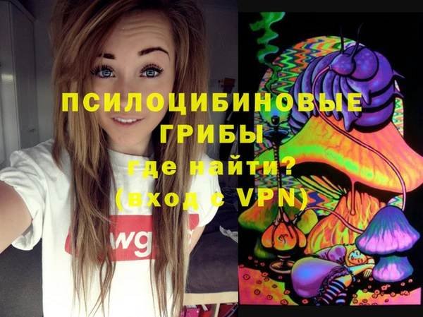 мет Магас