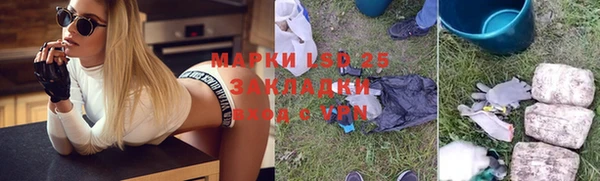 прущие грибы Новокубанск