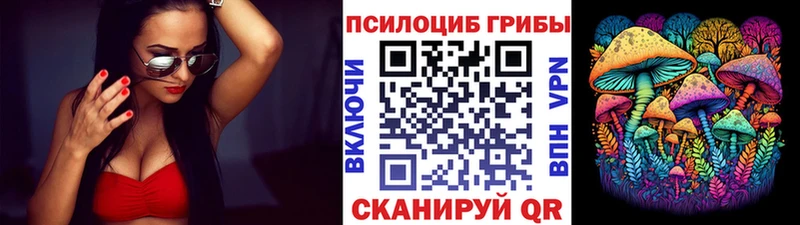Галлюциногенные грибы Magic Shrooms  дарнет шоп  Шацк 