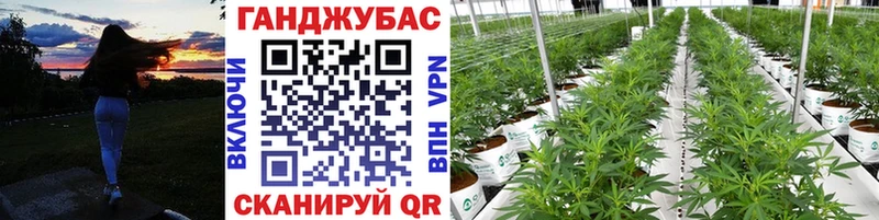 Бошки марихуана SATIVA & INDICA blacksprut вход Шацк